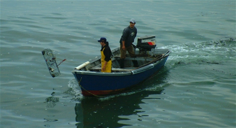 (18) Dscf0392 (local fishermen).jpg   (950x517)   171 Kb                                    Click to display next picture